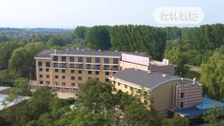 坐月子选择月嫂好还是月子中心好